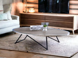 Allis Weathered Gray Oak & Metal Finish Coffee Table B2726P281893