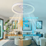 19.7 inches fan light RGB color lights three color temperature 6-speed adjustable wind power W1962P235208