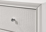 ZUN 1pc Modern Glam Style White Frost Finish Glam Five Drawer Chest Embossed Crocodile Pattern Wooden B011P216717