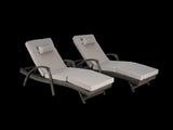 Outdoor Wicker Long Reclining Chair Set of 2 with Cushions, Wicker Reclining Lounge Chair Lawn W874P264727