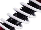 Front Coilovers Lowering Kit Shock Struts fit for Buick Century 97-05 Regal 1997-04 96866525