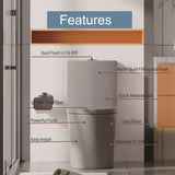 Matte Grey Elongated One Piece Toilet Dual Flush 1.1/1.6 GPF Water Saving Comfort Seat Height, Map W2826P192008