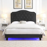 Upholstered Bed Button Tufted with Curve Design - Strong Wood Slat Support - Easy Assembly - Black W2297P268385