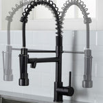 ZUN Commercial Black Kitchen with Pull Down Sprayer, Single Handle Single Lever Kitchen Sink W1932P172304