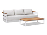 Rhodes 2pc Teak & Aluminum Outdoor Sofa and Coffee Table Set B2719P321038