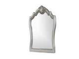 Destiny Traditional Style Mirror Made with Wood frame in Silver B009P234700