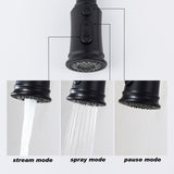 Kitchen Faucet with Pull Out Spraye 66599224