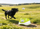 Automatic Dog Ball Launcher, 5 Balls Included, 3 Distance Settings , for Small & Medium 18798304