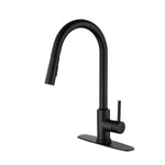 ZUN Single Handle High Arc Pull Out Kitchen Faucet,Single Level Stainless Steel Kitchen Sink Faucets 20417075