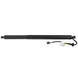 Lift Cylinder Left Fit for Hyundai Tucson Sport Utility 1.6L 2.5L L4 2022-2024 4-Door 81831-N9100 18272969