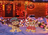 Set of 2 Lighted Gingerbread Man and Candy Cane Christmas Decorations, Pre-lit 2D Holiday Decor with 30550449