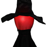 Halloween Black Witches with Change Colors 98970562