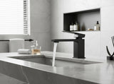 Single Handle Bathroom Faucet Lavatory Faucet Stainless Steel Single Hole-T20, Matte BlackUnable 83911547