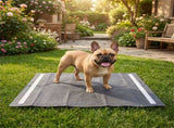 150 Pack Charcoal Dog Pee Pads 24"x24", 6-Layer Ultra Absorbent Pet Training Pads with Odor Control 62229265