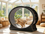 Wooden Cat Exercise Wheel 24240361