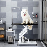 ZUN Hydraulic Dog Pet Grooming Table Heavy Duty Big Size Z-Lift Pet Grooming Table 38948462