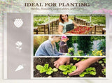 PieceRaised Garden Bed with 85348280