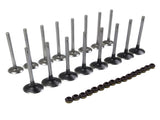 12x Intake & Exhaust Valves Set Replacement for VW Audi A4 S4 S5 A6 A7 A8 Q5 Q7 3.0 TFSI 06E109601E 66154212