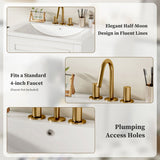 24" Vanity with Integrated Ceramic Sink, Cabinet with 2 Doors, Single Sink N710P277711K