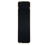 Gold 47 x 14IN Door mirror. W2203P310394