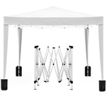 ZUN 10'x10' Folding Canopy with 4 Removable Sidewalls Outdoor Event Shelter UPF 50+ Gazebo Portable W2185P194727