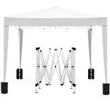 ZUN 10'x10' Folding Canopy with 4 Removable Sidewalls Outdoor Event Shelter UPF 50+ Gazebo Portable W2185P194727