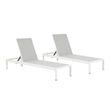 Outdoor Chaise Lounge Chair Set of 2, Aluminum Adjustable Outside Chair for Pool Patio Beach Yard, N779P248447W