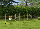 Dog agility training equipment 17200588
