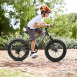 ZUN A20316 20 inch Fat Tire Bike Adult/Teen Full Shimano 7 Speed Mountain Bike, Dual Disc Brakes, High W709P185464