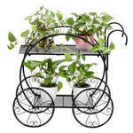 ZUN Paint With Handle Cart Shape 2 Layer Plant Stand Black 98903274