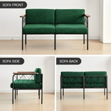 ZUN Cpintltr 47” W Futon Sofa Couch Modern Loveseat Sleeper Sofa Bed with Sturdy Metal Frame Teddy 90785043