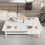 U-Can Lift-Top Coffee Table with 2 Drawers, Modern Space Saving Center Table with N724P292514K