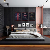 Shirt Display Frame With UV Resistant Acrylic and Hanger, Wall Mounted Baseball Basketball Football 20895616