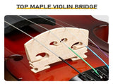 4/4 Full Size Violin for Beginners, Laminated Spruce & Maple Wood, Natural Red Varnish Finish, 04411117