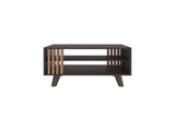 Coffee Table, 1 Door, 2 Shelves, Black Wengue / Natural Oak B097P369429