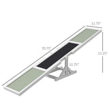 Dog Agility Ramp Pet Seesaw 36580704
