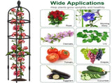 2 Packs Garden Obelisk Trellis 5.9FT Plants Tower for Climbing Plants Flower Vegetable Vine Support 84045793