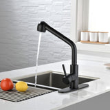 Single-Handle Pull-Out Sprayer Kitchen Faucet in Stainless Matte Black 23616223