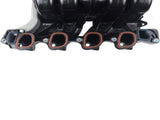 Intake Manifold for 01-08 Crown Victoria & Town & Grand Marquis 99-04 Mustang 16966902