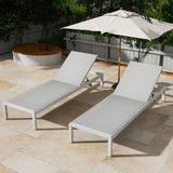 Outdoor Chaise Lounge Chair Set of 2, Aluminum Adjustable Outside Chair for Pool Patio Beach Yard, N779P248447W