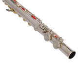 Nickel Plated C Closed Hole Concert Band Flute with E Key 00240637
