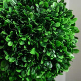 Artificial Plant/Green plants 23437048