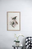 S/2 Bird Framed Print, 19.5x27.5" W2078P205301