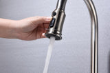 Kitchen Faucet with Pull Out Spraye W928P321798