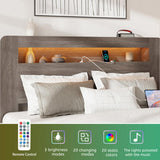 Bed Frame Queen Size, Wood Platform Bed Frame with Storage LED Light Headboard and 2 USB , Noise 65913119