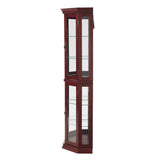 Corner Curio Cabinet with Lights, Adjustable Tempered Glass Shelves, Mirrored Back, Display W1693P165015