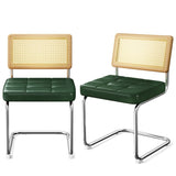 Natural Rattan Dining Chairs Set of 2, Modern Dining Room Chairs with Solid Wood Back for Kitchen W3010P298563