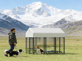 Dog Kennel Outdoor 36859357