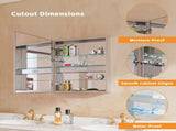 Bathroom LED Lighted Medicine Cabinet with Storage, 24" W x 30" H, Wall Mounted or Recessed, W5609P461277