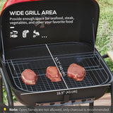 ZUN Portable Charcoal Grill /BBQ Grill （Prohibited by WalMart） 71411362